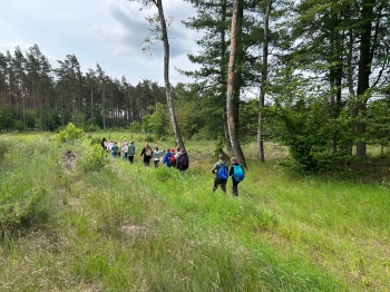 Zdjęcie 17.06.2025, 09 56 47