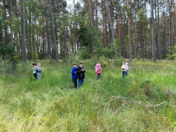 Zdjęcie 17.06.2025, 10 39 41