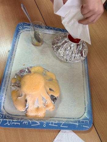 Zdjęcie 12.12.2025, 11 30 24