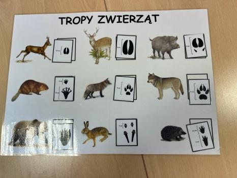 Zdjęcie 14.01.2026, 10 27 59