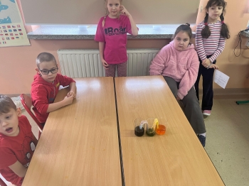 Zdjęcie 15.01.2026, 11 59 18