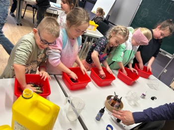 Zdjęcie 17.03.2026, 12 39 04