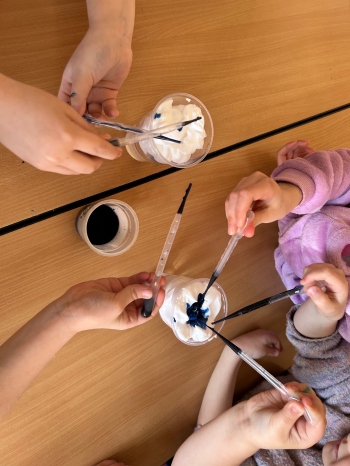 Zdjęcie 31.03.2026, 10 20 45