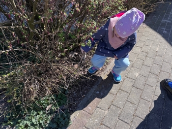 Zdjęcie 22.04.2026, 12 09 21