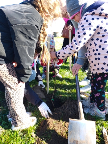 IMG_20260421_162456496_HDR