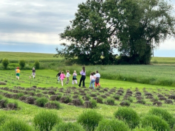 Zdjęcie 18.06.2026, 09 17 21