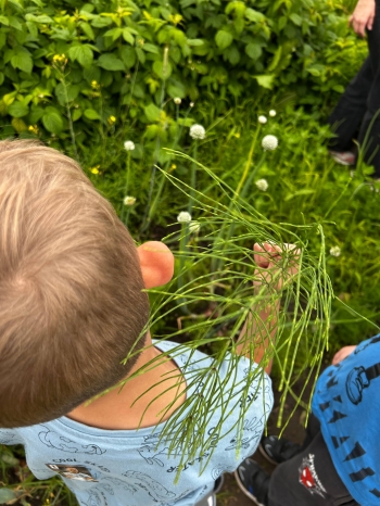 Zdjęcie 18.06.2026, 09 30 32