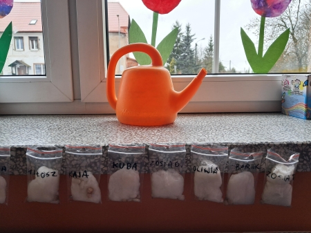 Mini ogródek na parapecie